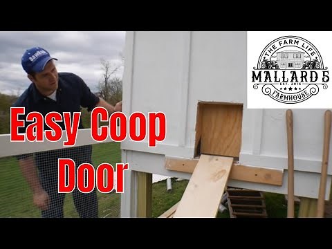 How to Build an Easy DIY Chicken Coop Door