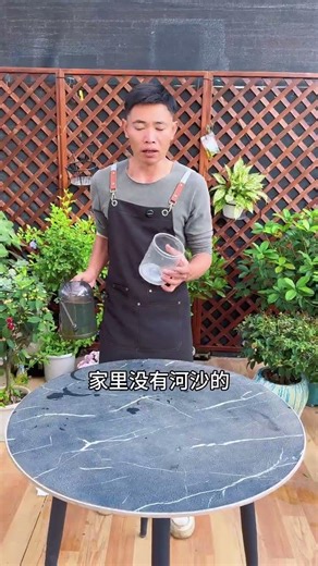 Never Buy Crab Cactus Again! Clone It Yourself