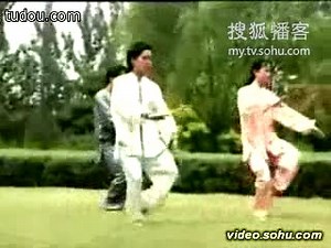 杨式太极拳40式(上)