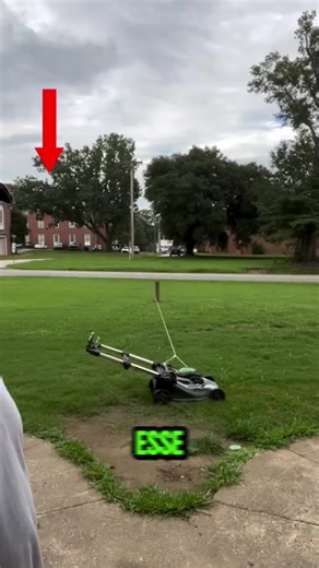 Gênio ou Preguiçoso? A Incrível Ideia de Cortar Grama