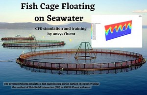 Fish Cage Floating on Seawater CFD Simulation by FSI Method, ANSYS Fluent - MR CFD