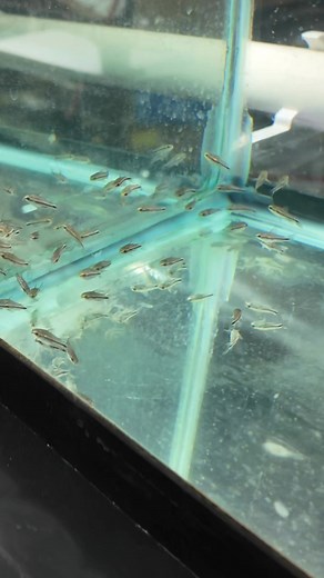 5K views · 52 reactions | In this video, we're covering everything...