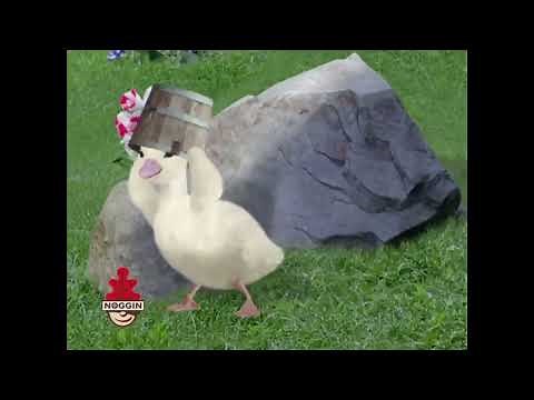 The Wonder Pets Noggin Airing Leaf September 2007 Save the Swan Made with Clipchamp 1746996795622