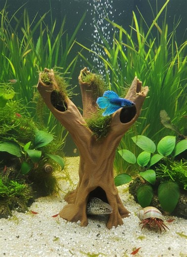 Aquarium Wood Decor | “enchanted Tree Stump” | 3D Printed Driftwood Stump Also for Terrarium Kit - Etsy