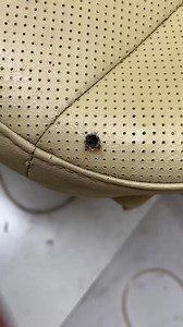 Burnt sofa or seat repair tips #shortsvideo #reelsvideoシ #reelsviralシ #reelstrending #viralreelschallenge #fypシ #explorepage #fb #love #reels #emotional #usa #cute #viralpage | Exp videos