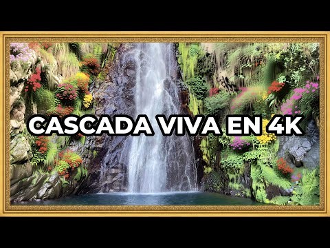 Espectacular Cuadro Cascada en Movimiento en 4K para TV │ Paisaje Natural para Pantalla Grande