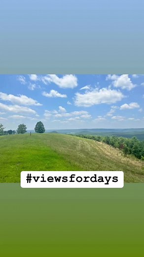 There are amazing views from every spot in The Bluffs Overlooking Weiss Lake. We have home sites available for purchase. Call Sandy Cole at 770-500-5159 to schedule a tour. Lot prices start at $30,000 in this gated community with in the town of Cedar Bluff Alabama. There is underground utilities and fiber optic internet ran through the subdivision. | The Bluffs Overlooking Weiss Lake
