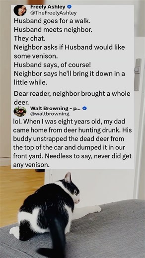 What my neighbour dropped in my yard… I nearly fainted 😭