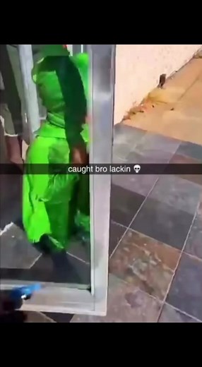 Gecko Jokes and Low-Quality Memes Compilation