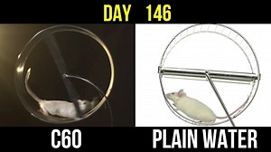 45 reactions · 17 shares | Scientifically studied health benefits of...