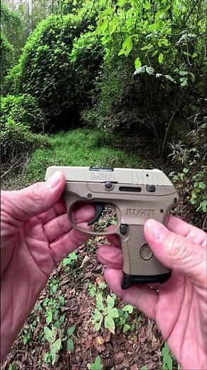 Ruger LCP 380 review