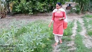 Fields of Punjab village... | North-Indian Cooking