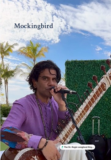 Eminem's Mockingbird Live in Sarasota - A Musical Tribute