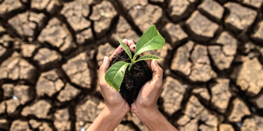 Climate Change-caused Soil Degradation Is Driving Up Food Prices Globally