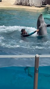 Their special bond and connection #beautiful #playtime #bondingtime | Travisandcousins