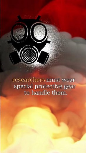 Marie Currie's Radioactive Notebooks - A Legacy That Glows