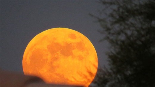 Buck Moon 2025: When to see July's full moon, other celestial events in NY
