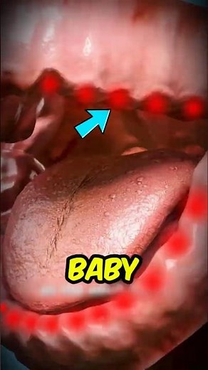 What's Really Pushing Your Baby's Teeth Out? 🦷 #TeethFacts #DentalEducation #DidYouKnow