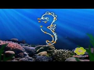 Full screen scuba dots