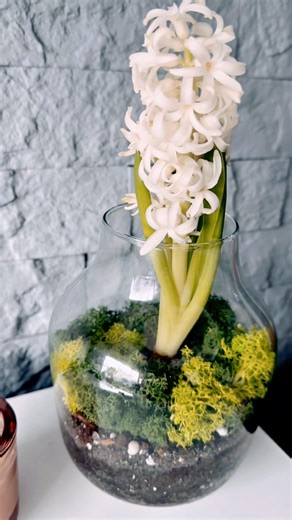 First spring decor at Home #firstspringdecor #spring #springdecor #home #homedecor #hyacinth