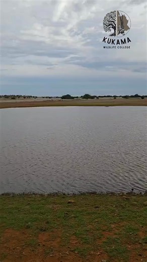 If you’re passionate about nature, wildlife, and conservation, this is your moment. Kukama Wildlife College doesn’t just teach you field skills, it shapes you into a purpose-driven, professional safari guide. Here, you learn in the wild, not in classrooms. Every day brings new discoveries, new challenges, and new confidence. What you’ll experience: • Hands-on training in the field, surrounded by wildlife, tracks, plants, and true bushveld silence • Direct mentorship from experienced FGASA-qualif