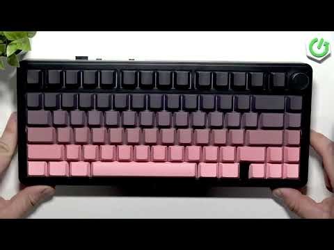 Attack Shark X85 USB Dongle Nerede Bulunur?