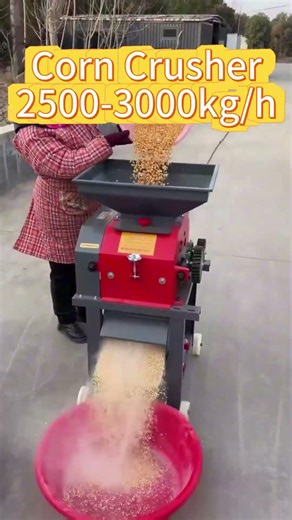 Maize Grinding Machine |Commercial Corn Crusher for Poultry & Livestock Feed#livestockfeed #farming
