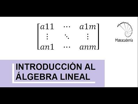 Introducción al álgebra lineal