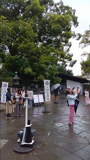 史跡探訪1.上野東照宮 #旅行 #旅行vlog #観光 #歴史 #徳川家康 #グルメ #桜