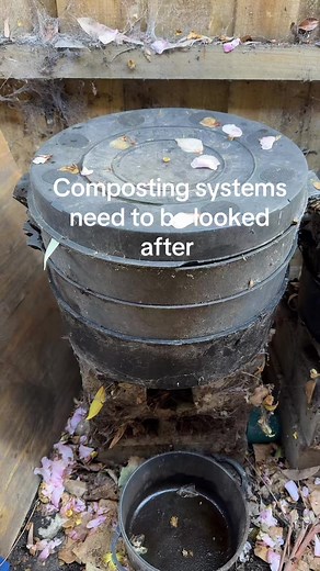 How to look after the worm farm and compost bins in ecec #earlychildhoodeducation #teachersoftiktok #ecotok