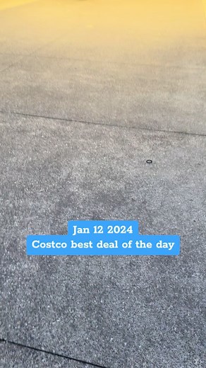 Best Security Camera Bundle Offer at Costco