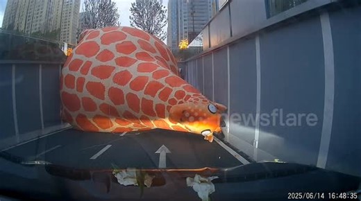 Giant Inflatable Giraffe Blown Away by Strong Winds in China, Nearly Hits Car