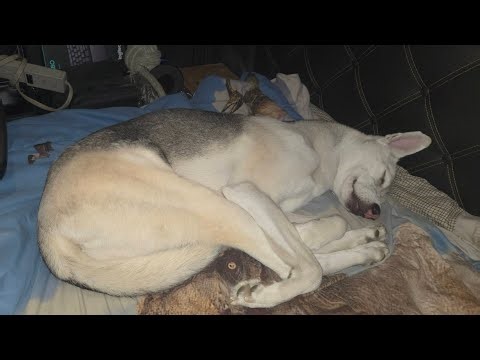 Goodnight,, Night drive.. Welcome to Kentucky..