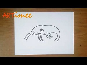How to Draw a Catfish