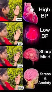 1.2M views · 4.1K reactions | Daily Mudras #motivation #high #low #blood #pressure #sharpens #memory #stress #anxiety #yoga #Lord | Sarv Samridhi Yoga | Facebook
