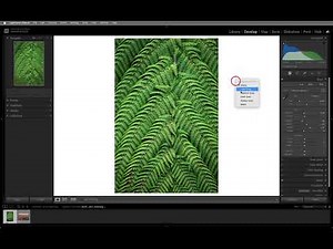 10 Tips for Working in the Develop Module in Lightroom Classic