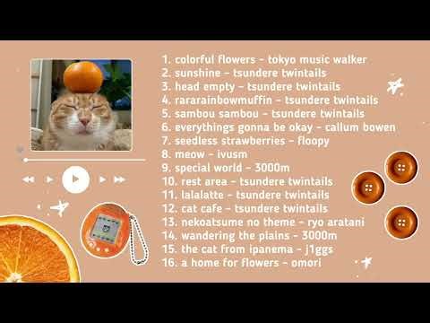 perfect refreshing & chill playlist for orange cats