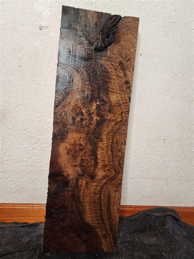 Bastogne Burl Wood Billet: Turning Stock, Guitar Body Blank - Etsy