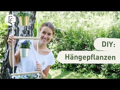 DIY Pflanzenaufhängung aus einer Strickleiter