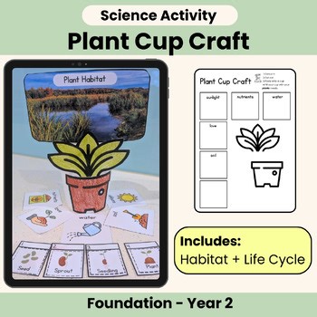 Plant Life Cycle Cup Craft | Habitat Activity | Science Foundation Year 1 Year 2