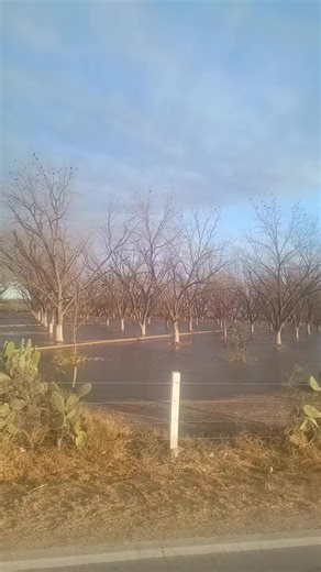 #ranchos#sierra