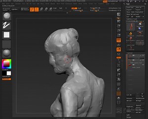 人体建模之女人体制作基础教程！！！女人体建模的关键点在哪里，！！史上最全面[Zbrush] 人体肌肉结构视频教程zbrush人体建模制作！