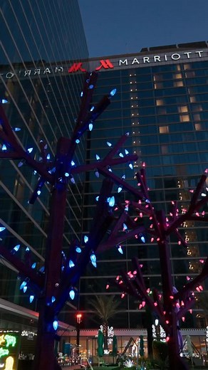 We’re giving away another fantastic Downtown Holiday Get Away!❄️ ✨You could win: 🏨Marriott Marquis: - 1-night stay at the Marriott Marquis with: (Texas Winter Lights Package: Complimentary valet parking, 4 tickets to Texas Winter Lights, premier guest room overlooking Texas Winter Lights)🎄 🏨Hilton-Americas: - Breakfast with Santa for 4 guests (weekends only, Dec 7 – 22) OR a R24 Rooftop Lounge Cocktail Experience for Two: Includes 4 complimentary cocktails as an adult alternative to breakfast