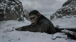 The Watchlist Review // War for the Planet of the Apes