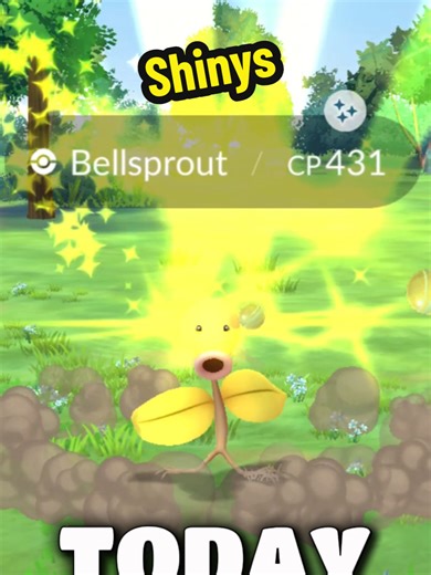 Shiny Bellsprout and Fennekin during Pokemon GO Kalos Tour #Pokemon #pogo #pokemongo #pokemoncommunity #pokemontiktok
