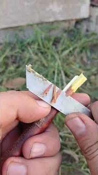 Graphing Basics Explained | Easy Graphs for Beginners