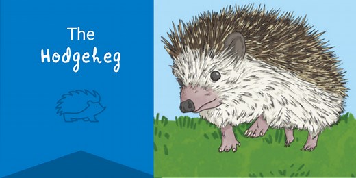 The Hodgeheg Lesson Ideas - Twinkl