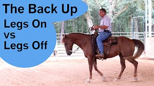 15K views · 410 reactions | If you have seen reining trainers push their legs forward and the horse looks like it is running backwards. This is the process of teaching that. | Tim Anderson Horse Training | Facebook