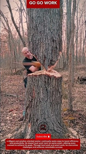 Efficient Wood Cutting Method with Strategic Cuts for Safe Tree Removal