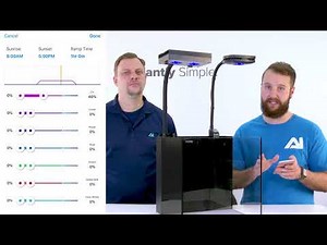 Using EasySetup in MyAI